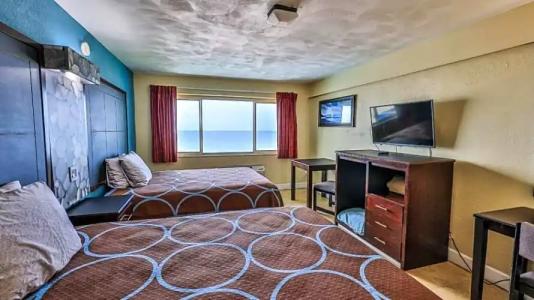 Driftwood Beach - 36