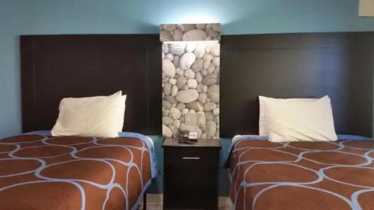 Driftwood Beach - 215