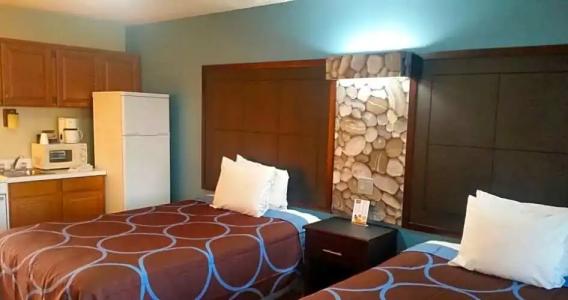 Driftwood Beach - 92