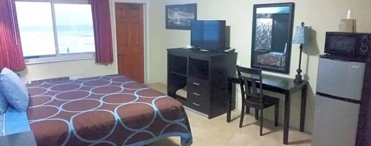 Driftwood Beach - 170