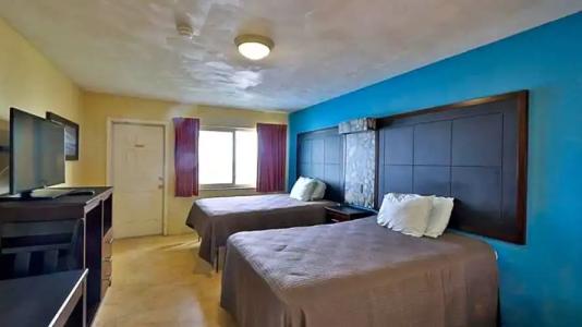 Driftwood Beach - 102