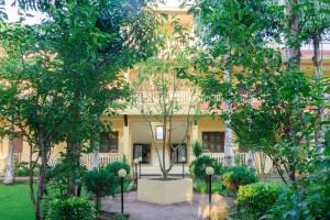 Hotel Rainforest, Саураха