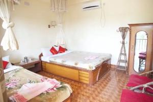 Jungle Sunset Camp, Саураха