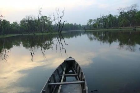 Jungle Sunset Camp - 1