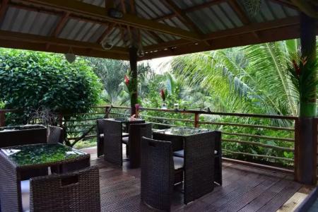 A Peace In Paradise - 8