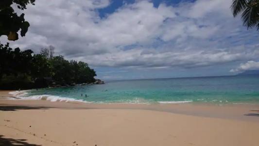 A Peace In Paradise - 16