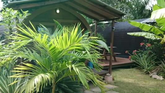 A Peace In Paradise - 45