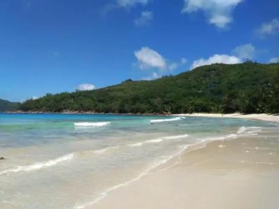 A Peace In Paradise - 64