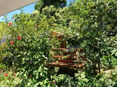 A Peace In Paradise - 13