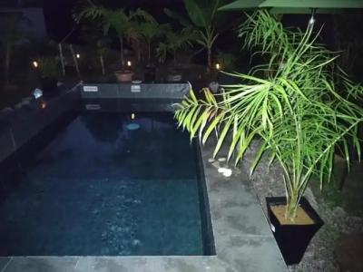 A Peace In Paradise - 53