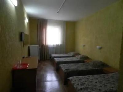 Катальпа - 12