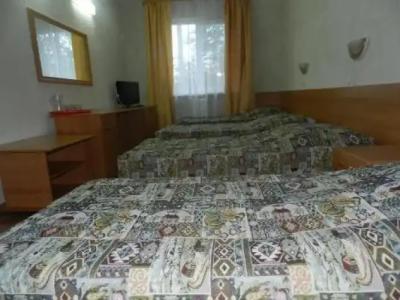 Катальпа - 7