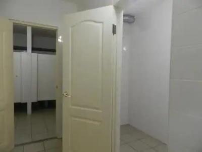 Катальпа - 11