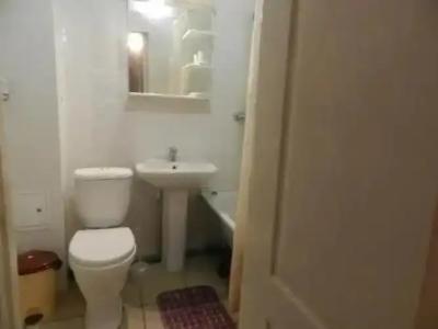 Катальпа - 10