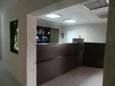 Катальпа - 14