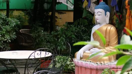 Buddha Garden - 22