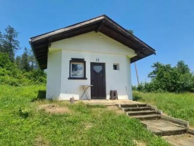 Complex Brashlyan - 62