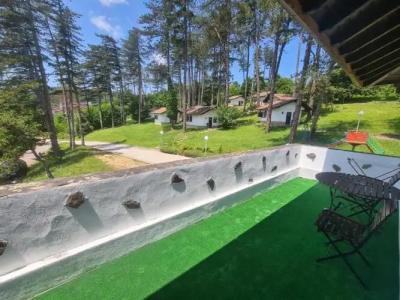 Complex Brashlyan - 55