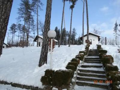 Complex Brashlyan - 59