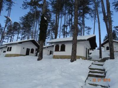 Complex Brashlyan - 60