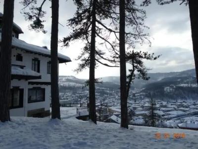 Complex Brashlyan - 58