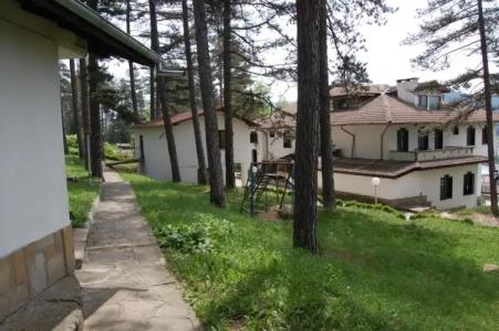 Complex Brashlyan - 64