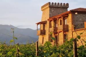 Отель «Chateau Davitiani»