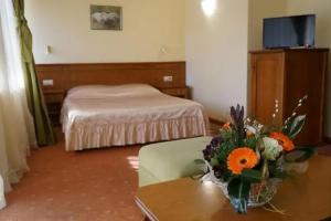 Плаза Отель Троян, Троян