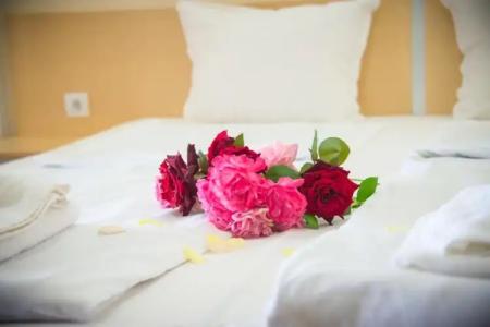 Apart Apolonia Palace - 9