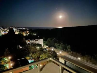 Family Saint George - 27