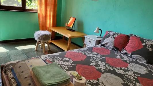 Guest House Fanny - 31