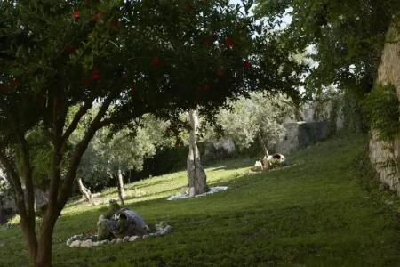 Ammon Zeus Luxury Beach - 36