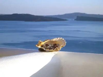 Aspaki by Art Maisons - 26