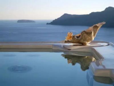 Aspaki by Art Maisons - 25