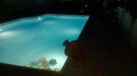 Scorpios & Suites - 7