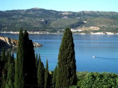 Scorpios & Suites - 44