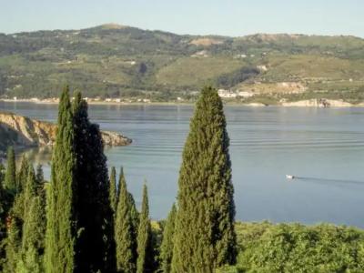 Scorpios & Suites - 15