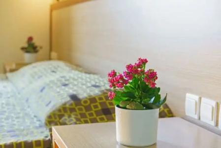 Alianthos Beach - 69