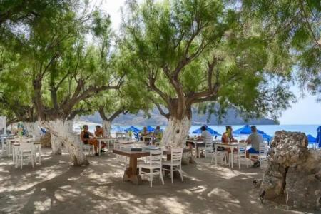 Alianthos Beach - 27