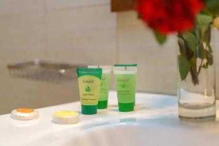 Alianthos Beach - 52