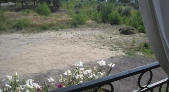 Стародонье - 1