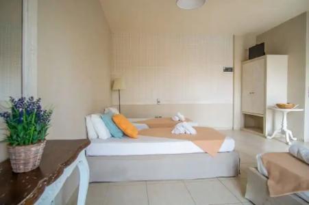 Golden Sun Boutique - 72