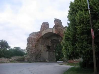 Chinar - 42