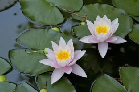 Rodon House Aparthotel - 120