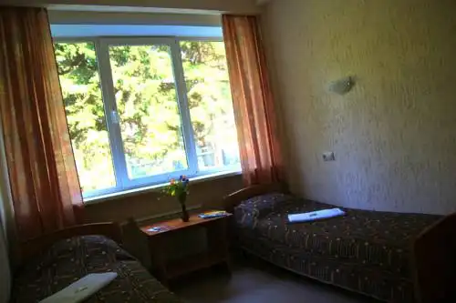 Бузим Красноярск - 120