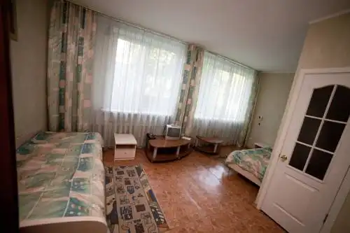 Бузим Красноярск - 100