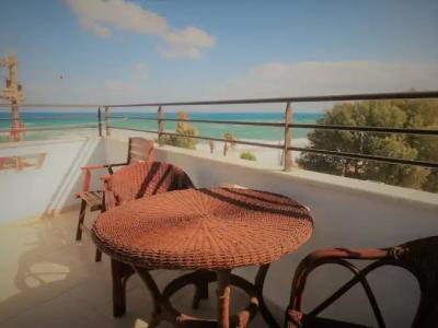 Diogenis Blue Palace - 131