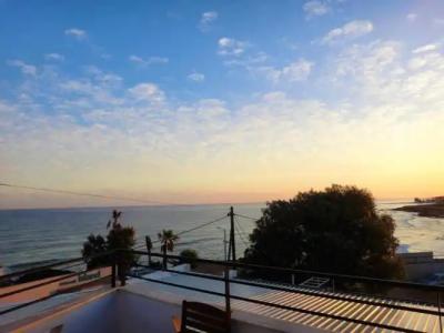 Diogenis Blue Palace - 115