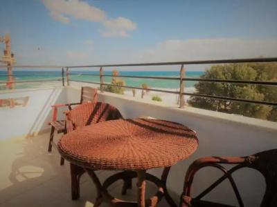 Diogenis Blue Palace - 59