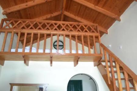 Diogenis Blue Palace - 106